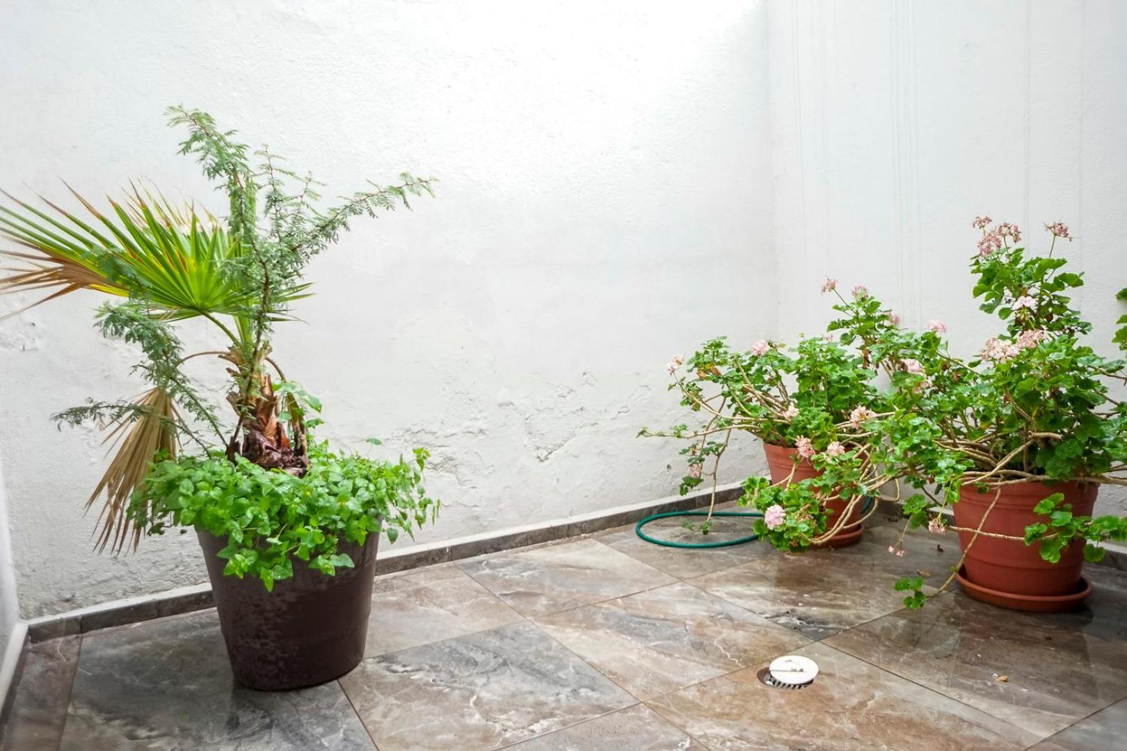 Casa Morelos Stayhouse San Luis Potosí Екстериор снимка