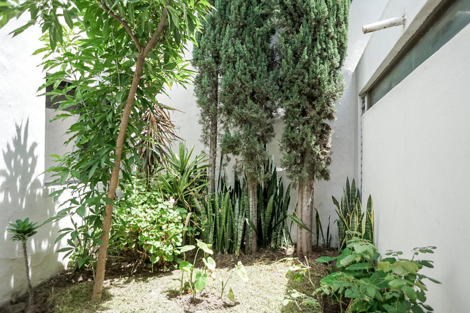 Casa Morelos Stayhouse San Luis Potosí Екстериор снимка